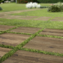 TREVERKHOME20 QUERCIA 60X60 RETTIFICATO -20mm