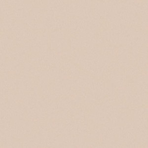 CE.SI. I COLORI MATT 20x20 CANAPA