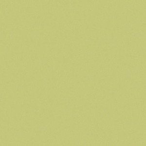 CE.SI. I COLORI MATT 20x20 APPLE