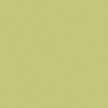 CE.SI. I COLORI MATT 20x20 APPLE
