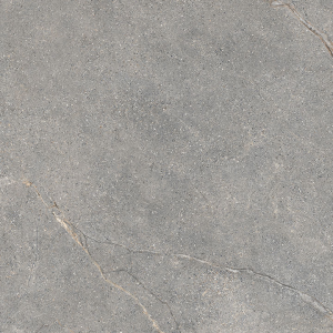 ANTHOLOGY 04 GRAY NATURALE RETT 120x120 9mm