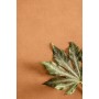 PIGMENTI SLIMTECH SUNSET 100X100 NAT - SP. 3,5 MM