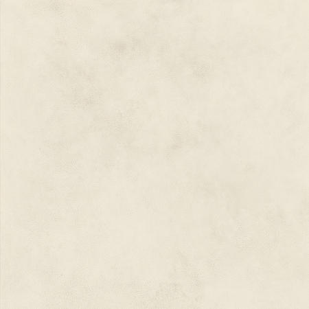 copy of