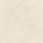 copy of
