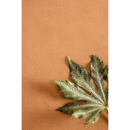 PIGMENTI SLIMTECH SUNSET 50X100 NAT - SP. 3,5 MM