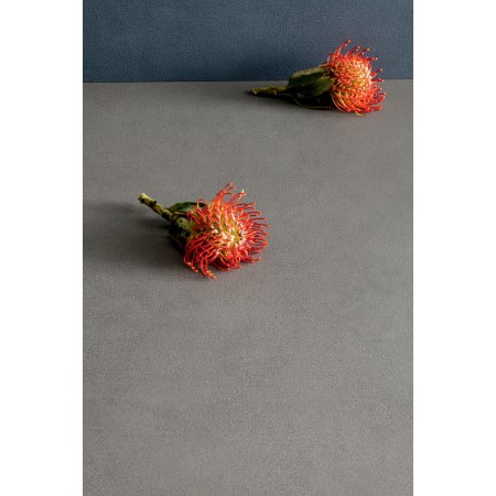 PIGMENTI SLIMTECH BASALT 50X100 NAT - SP. 3,5 MM
