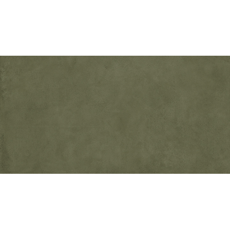 PIGMENTI SLIMTECH MOSS 50X100 NAT - TH. 3.5 MM