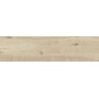 RAGNO CERAMICHE WOODTALE BETULLA RETTIFICATO 30X120