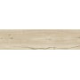 RAGNO CERAMICHE WOODTALE BETULLA RETTIFICATO 30X120
