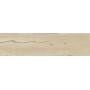 RAGNO CERAMICHE WOODTALE BETULLA RETTIFICATO 30X120