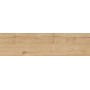 RAGNO CERAMICHE WOODTALE MIELE RETTIFICATO 30X120