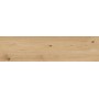 RAGNO CERAMICHE WOODTALE MIELE RETTIFICATO 30X120