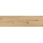 RAGNO CERAMICHE WOODTALE MIELE RETTIFICATO 30X120
