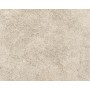 AUTENTICA LIGHT GREY RETT. OUTDOOR 60,4X90,6