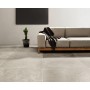 PIETRAVIVA GRIGIO CHIARO SILK 60,4x90,6 RETTIFICATO