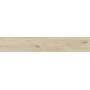 RAGNO CERAMICHE WOODTALE BETULLA RETTIFICATO 20X120