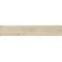 RAGNO CERAMICHE WOODTALE BETULLA RETTIFICATO 20X120