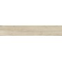 RAGNO CERAMICHE WOODTALE BETULLA RETTIFICATO 20X120