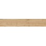RAGNO CERAMICHE WOODTALE MIELE RETTIFICATO 20X120