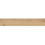 RAGNO CERAMICHE WOODTALE MIELE RETTIFICATO 20X120