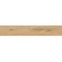 RAGNO CERAMICHE WOODTALE MIELE RETTIFICATO 20X120