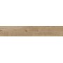 RAGNO CERAMICHE WOODTALE NOCCIOLA RETTIFICATO 20X120