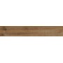 RAGNO CERAMICHE WOODTALE NOCE RETTIFICATO 20X120
