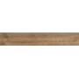 RAGNO CERAMICHE WOODTALE QUERCIA RETTIFICATO 20X120