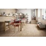 RAGNO CERAMICHE WOODTALE BETULLA RETTIFICATO 15X120