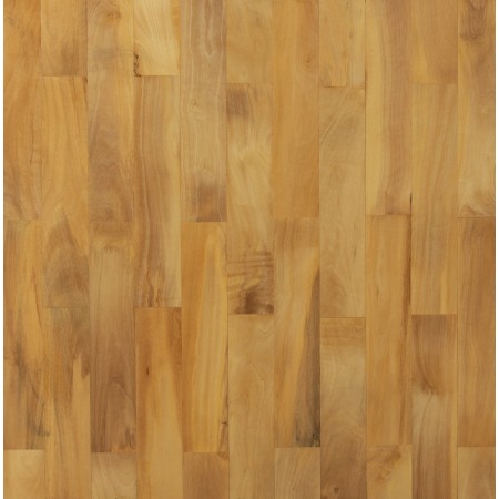 Ulivo Bianco Massiccio 60x300 Sp 10 Mm