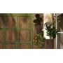 RAGNO CERAMICHE WOODTALE XT20 20mm NOCE 60X60 RETTIFICATO