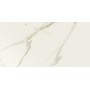 Elite Calacatta Nat 600x1200 1st Choice (Matte)
