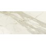 Elite Calacatta Nat 600x1200 1st Choice (Matte)