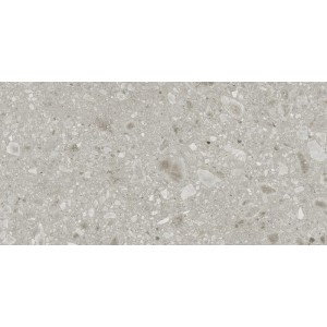 REALSTONE_CEPPO BEIGE STRUTTURATO 60X120 RET.