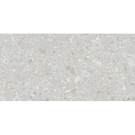 REALSTONE_CEPPO BIANCO STRUTTURATO 60X120 RET.