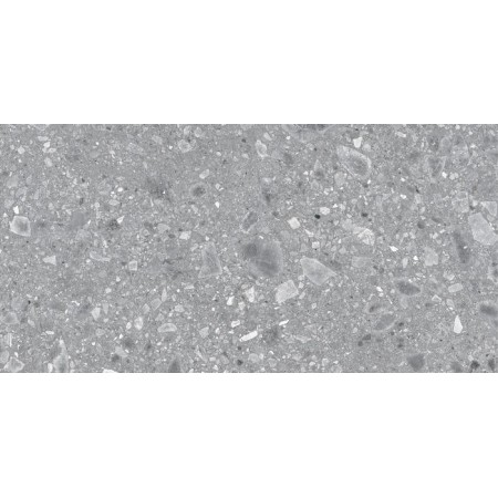 REALSTONE_CEPPO GRIGIO STRUTTURATO 60X120 RECT.