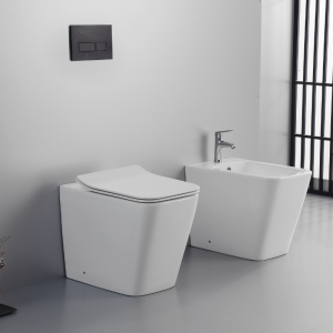 Ailin Set Toilet and Bidet FILO Wall Without Rim Soft Close Seat BIANCO LUCIDO