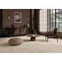 MOONSTONE BEIGE 60X60 NATURALE RETT