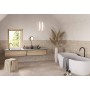 FIND DOVE 60X120 RETTIFICATO
