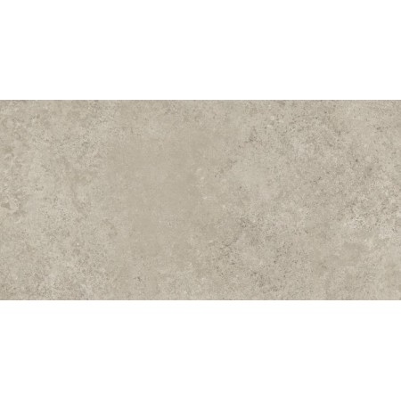 TIEMPO TAUPE 30X60 RET