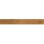ATLAS CONCORDE EXENCE AMBER 18,5X150 RETT