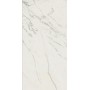 MARVEL CALACATTA EXTRA 60X120 LAPPATO