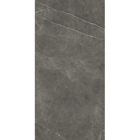 MARVEL GREY STONE 60X120 LAPPATO