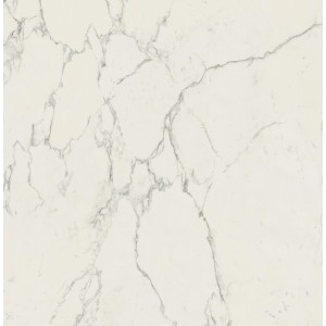 MARVEL CALACATTA EXTRA 120X120 MATT