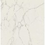 MARVEL CALACATTA EXTRA 120X120 MATT