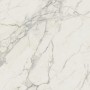 MARVEL CALACATTA EXTRA 120X120 MATT