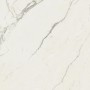 MARVEL CALACATTA EXTRA 120X120 MATT