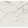MARVEL CALACATTA EXTRA 120X120 MATT
