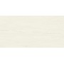 MARVEL STONE BIANCO DOLOMITE 30X60 MATT