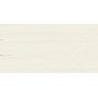 MARVEL STONE BIANCO DOLOMITE 30X60 MATT